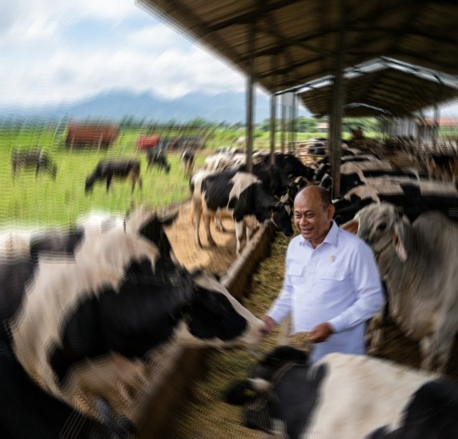 
					1.700 SPPG Disetop Sementara, BGN Tegaskan Tak Boleh Ada Pengurangan Porsi MBG